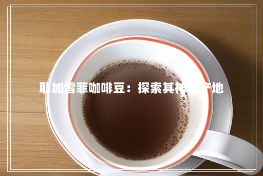 耶加雪菲咖啡豆:探索其神秘产地 耶加雪菲咖啡豆:探索其神秘产地