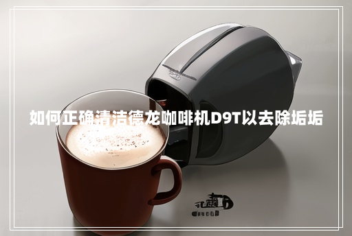 如何正确清洁德龙咖啡机D9T以去除垢垢 如何正确清洁德龙咖啡机D9T以去除垢垢