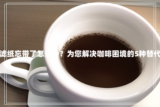 咖啡滤纸忘带了怎么办?为您解决咖啡困境的5种替代方法 咖啡滤纸忘带了怎么办?为您解决咖啡困境的5种替代方法