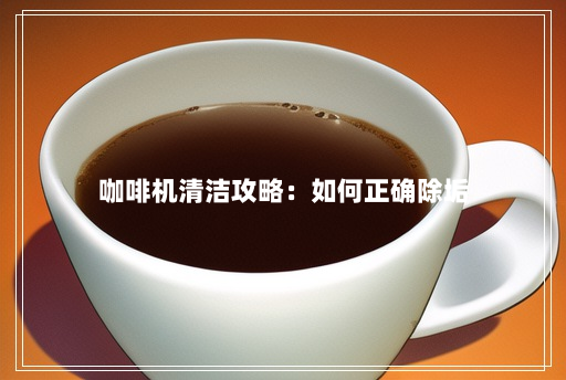 咖啡机清洁攻略:如何正确除垢 咖啡机清洁攻略:如何正确除垢