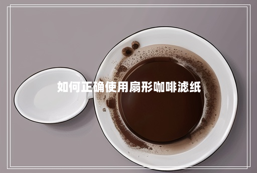 如何正确使用扇形咖啡滤纸 如何正确使用扇形咖啡滤纸