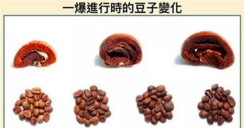 一爆进行时的豆子变化